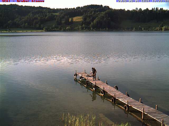 Camera Live Image