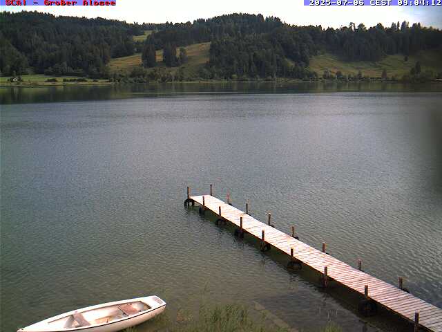 Camera Live Image