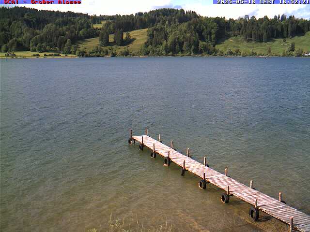 Camera Live Image